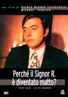 DVD Fassbinder PERCHE’ IL SIG.R…..