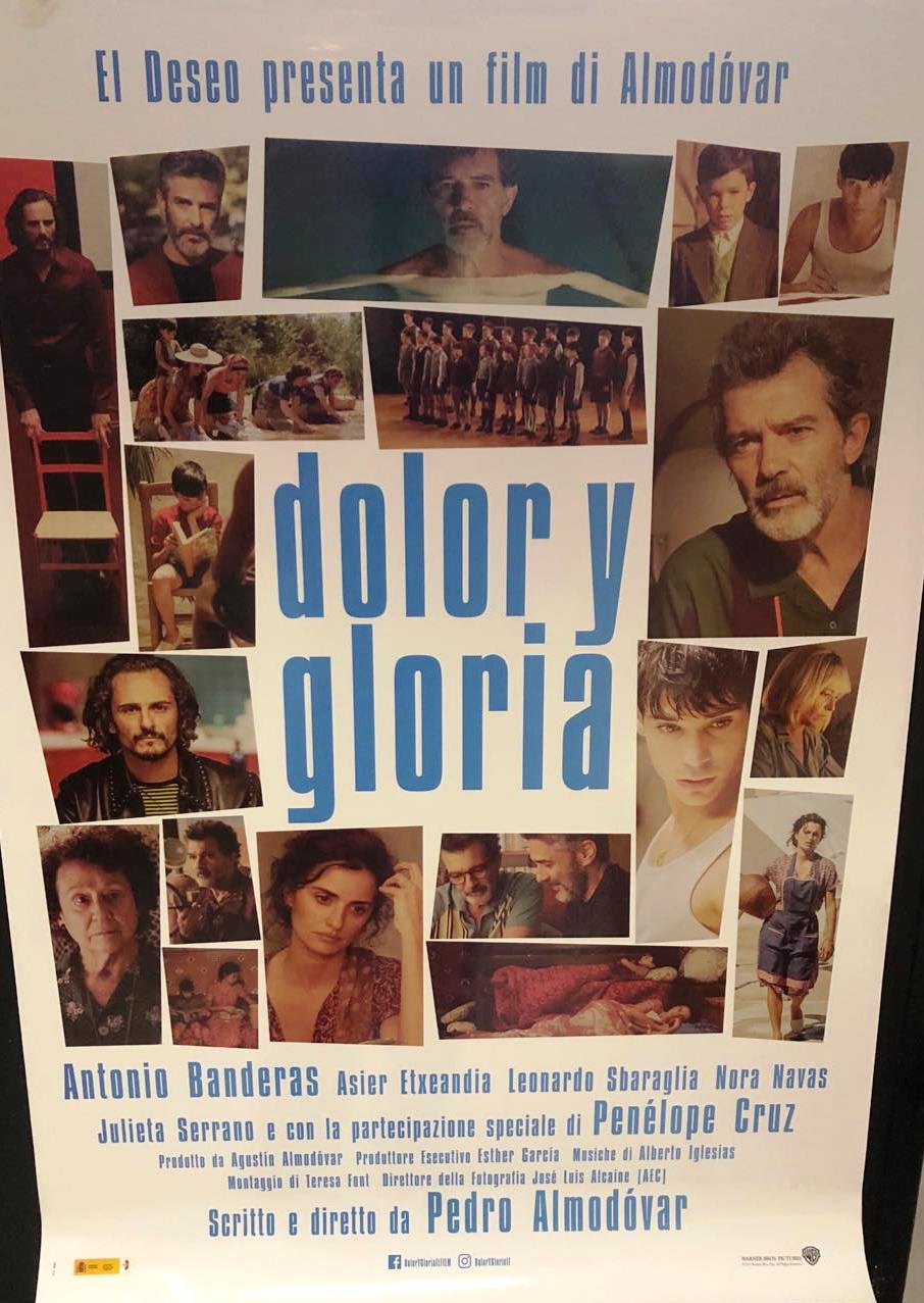 Dolor y Gloria (2019) Pedro Almodovar Poster 70x100