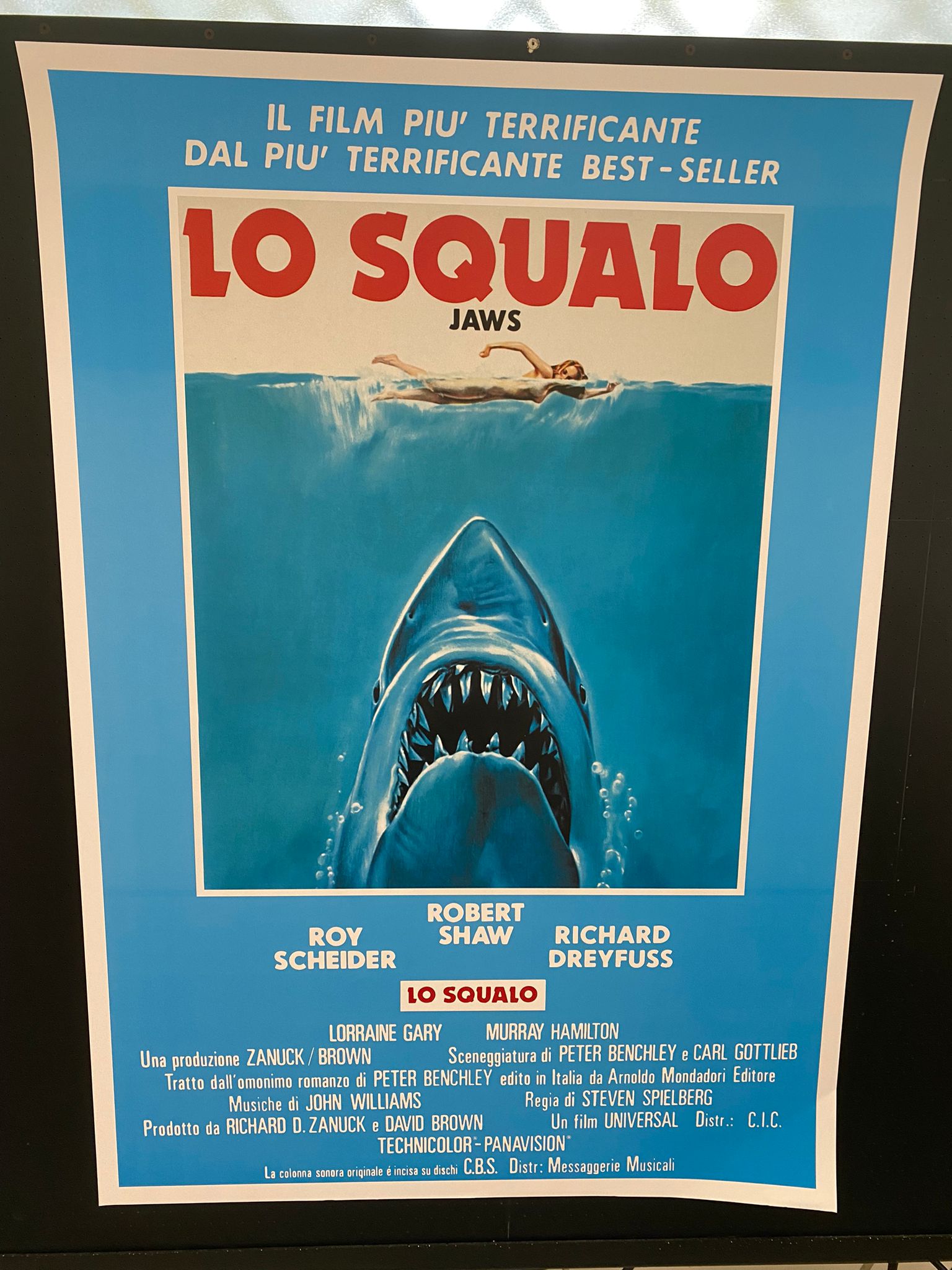 Lo Squalo Poster 70x100