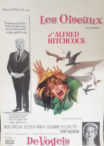 Gli uccelli (1963) di Alfred Hitchcock - Locandina originale prima edizione Belgio - RARITA'